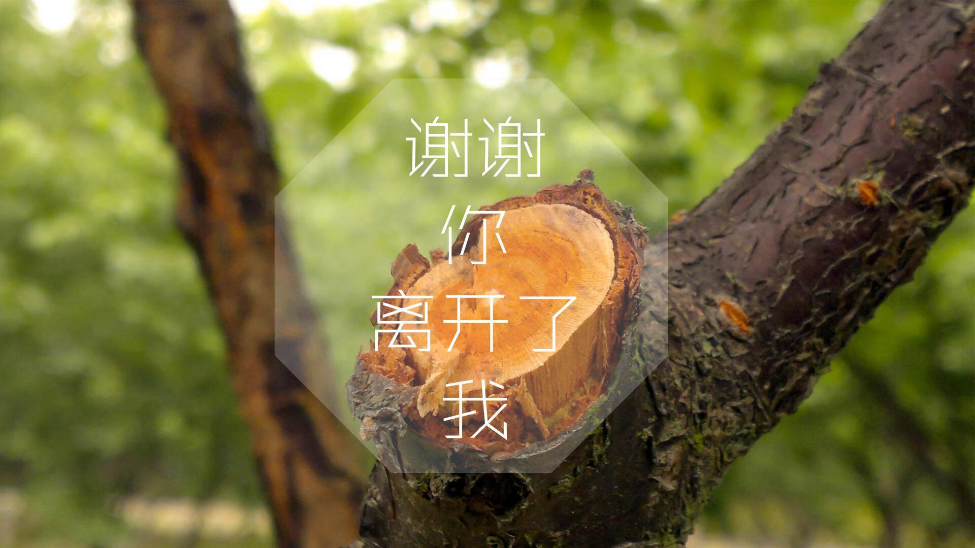 什么复合材料具有耦合效应(复合材料的复合效应有哪些)